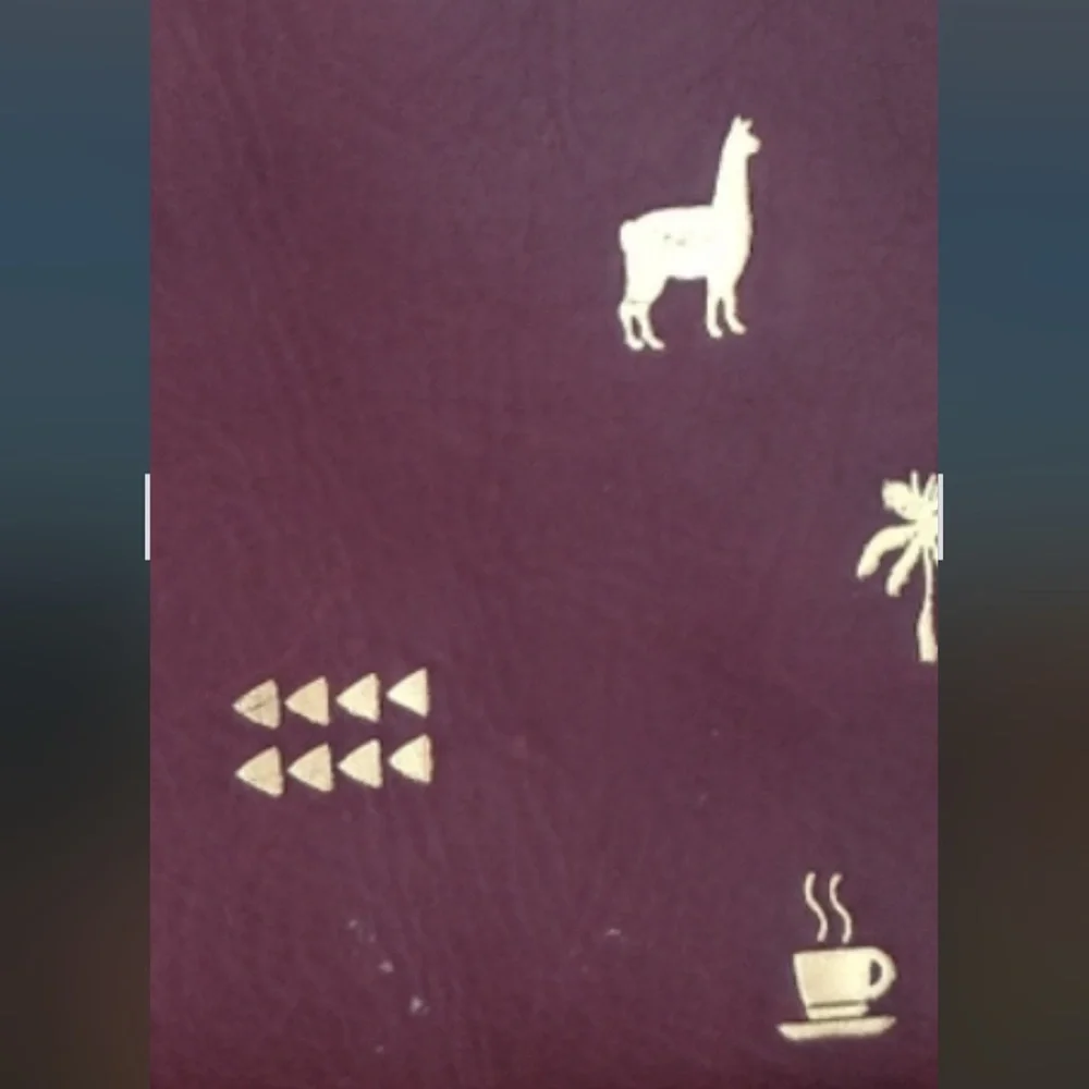 Anthropologie Madewell Burgundy clutch purse makeup pouch